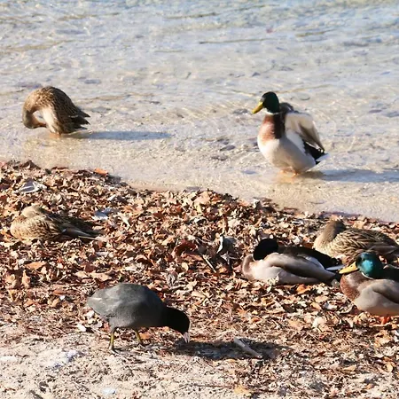 Landsitz Fuschlsee