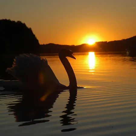 Landsitz Fuschlsee Fuschl am See