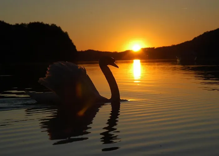 Landsitz Fuschlsee Fuschl am See